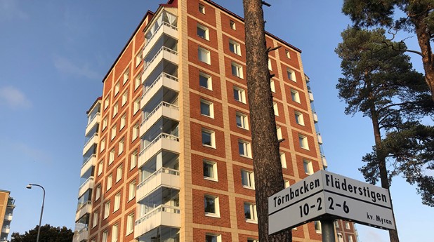 huvudbild_signalisten